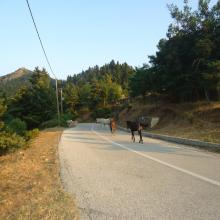 Kastania Village - Agrafa - Plastiras Lake