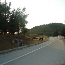 Kastania Village - Agrafa - Plastiras Lake
